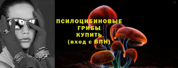 мескалин Богородицк